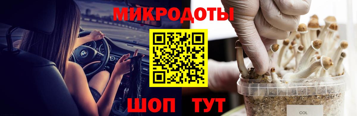 Псилоцибиновые грибы GOLDEN TEACHER Псков